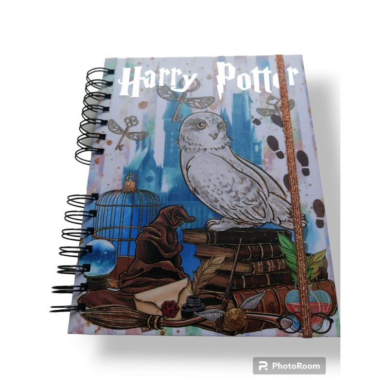 GENERICO - AGENDA HARRY POTTER