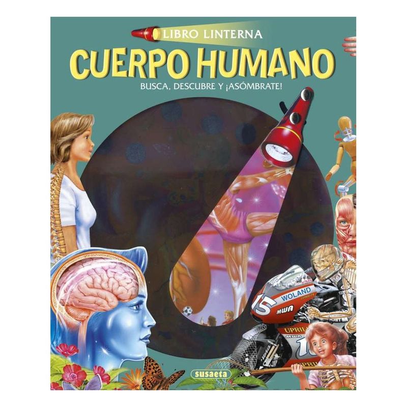 SUSAETA - CUERPO HUMANO (LIBRO LINTERNA)