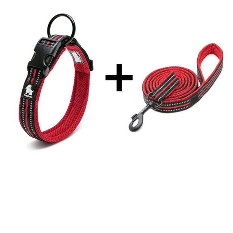 GENERICO - Conjunto de Collar y Correa para mascotas Talla M