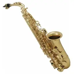 FONTAINE - Saxofón Alto FT 6430 L