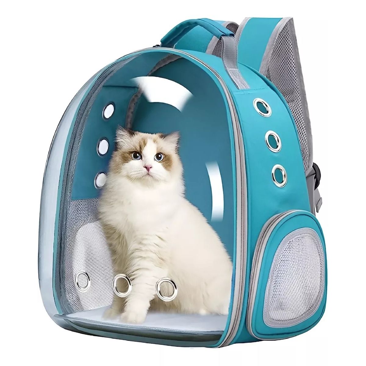 GENERICO - Mochila Gato Transportes Transparente Mascotas Gatos Bolso