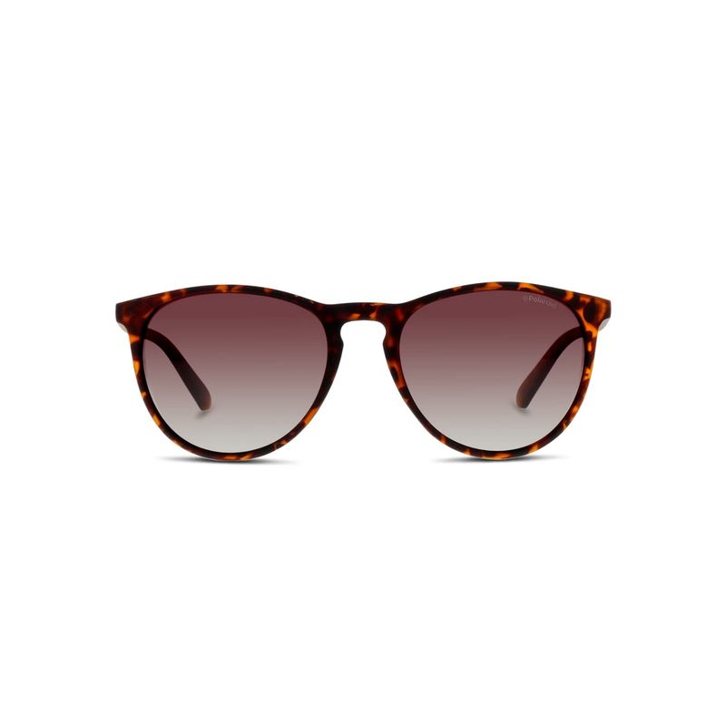 POLAROID - Lentes de Sol Polaroid 223636v0854la Marrón Hombre