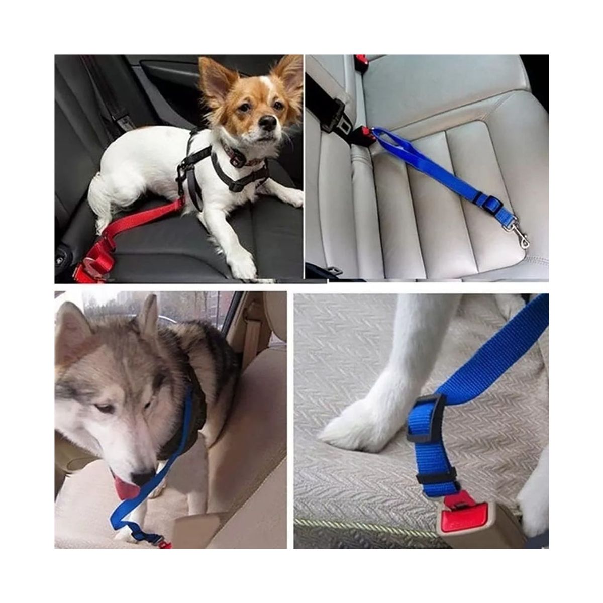 GENERICO - Cinturón De Seguridad Auto Perro Correa Cinturón Gatos