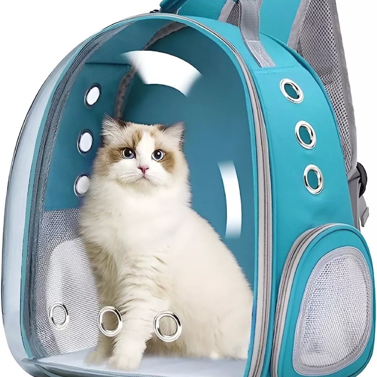 GENERICO - Mochila Gato Transportes Transparente Mascotas Gatos Bolso