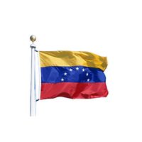 Bandera Venezuela 60X90 cms Estampada Ojales Metálicos