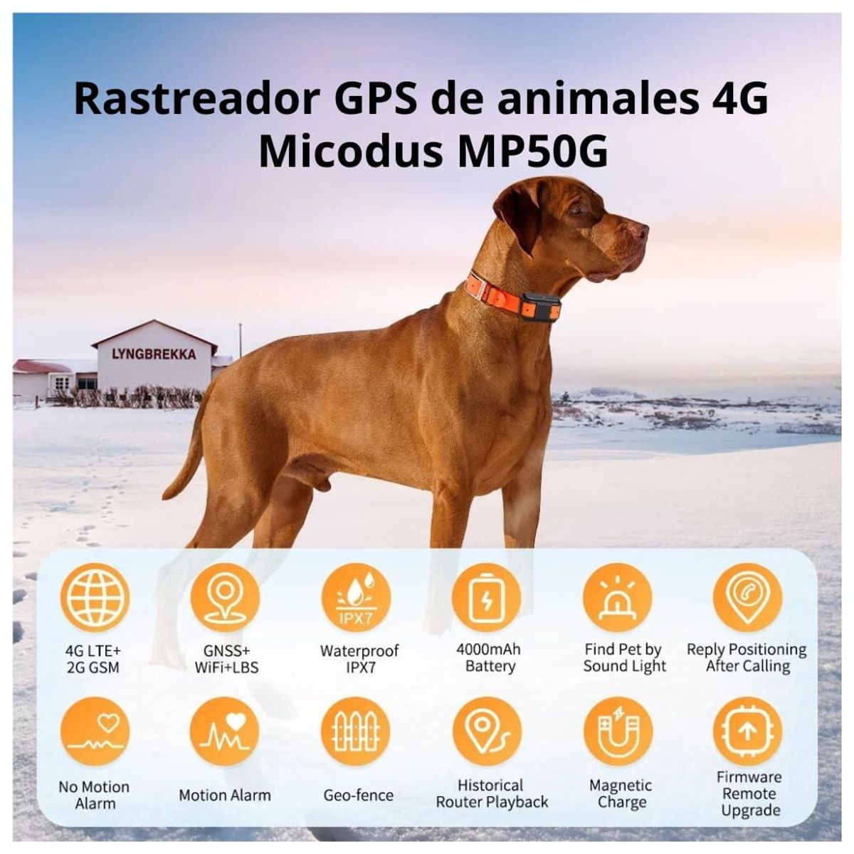 GENERICO - Localizador GPS 4G Rastreador de Mascotas Micodus MP50G