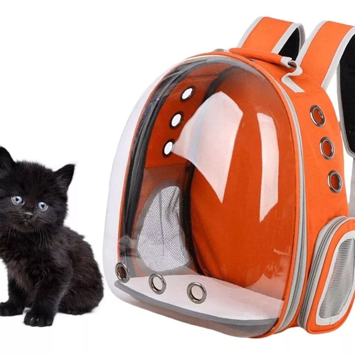 GENERICO - Mochila Bolso Transportador Mascota Perrogato Transparente