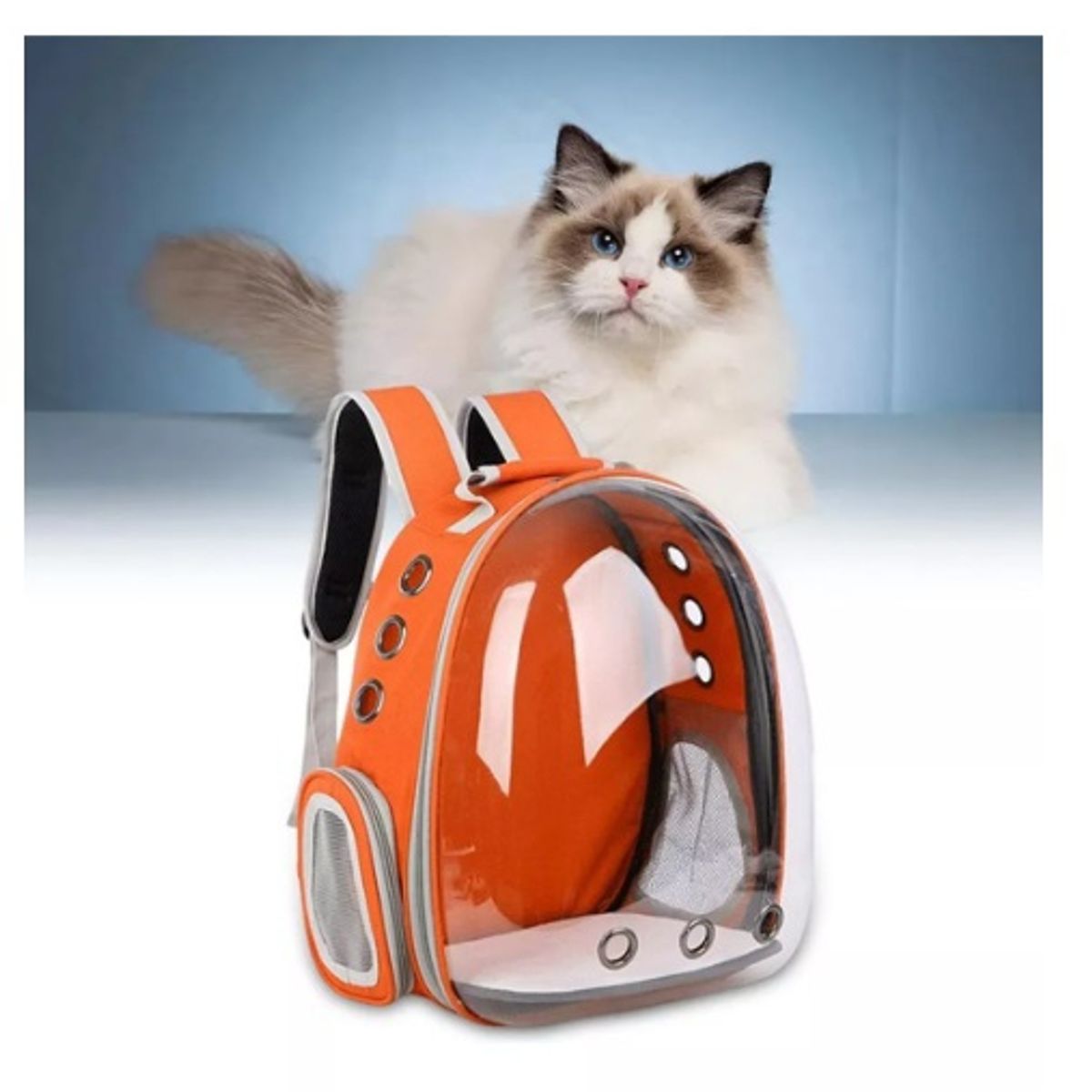 GENERICO - Mochila Bolso Transportador Mascota Perrogato Transparente