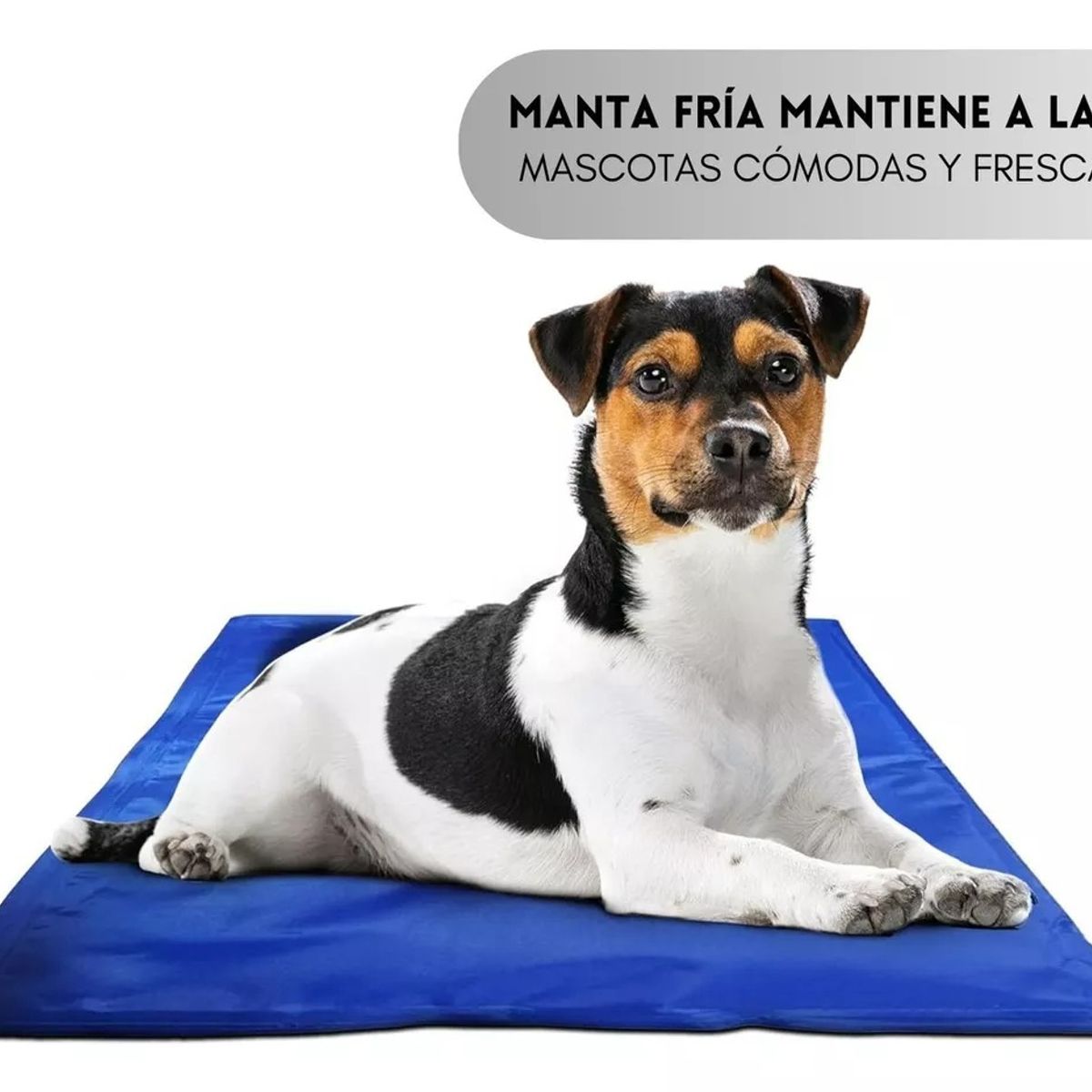 GENERICO - Manta Refrigerante Perro Manta Refrescante Manta Fria 93x78