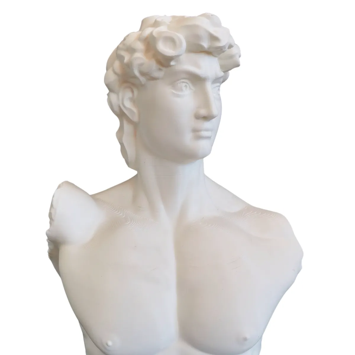 GENERICO - El David de Miguel Ángel Una Obra Maestra en tu Hogar