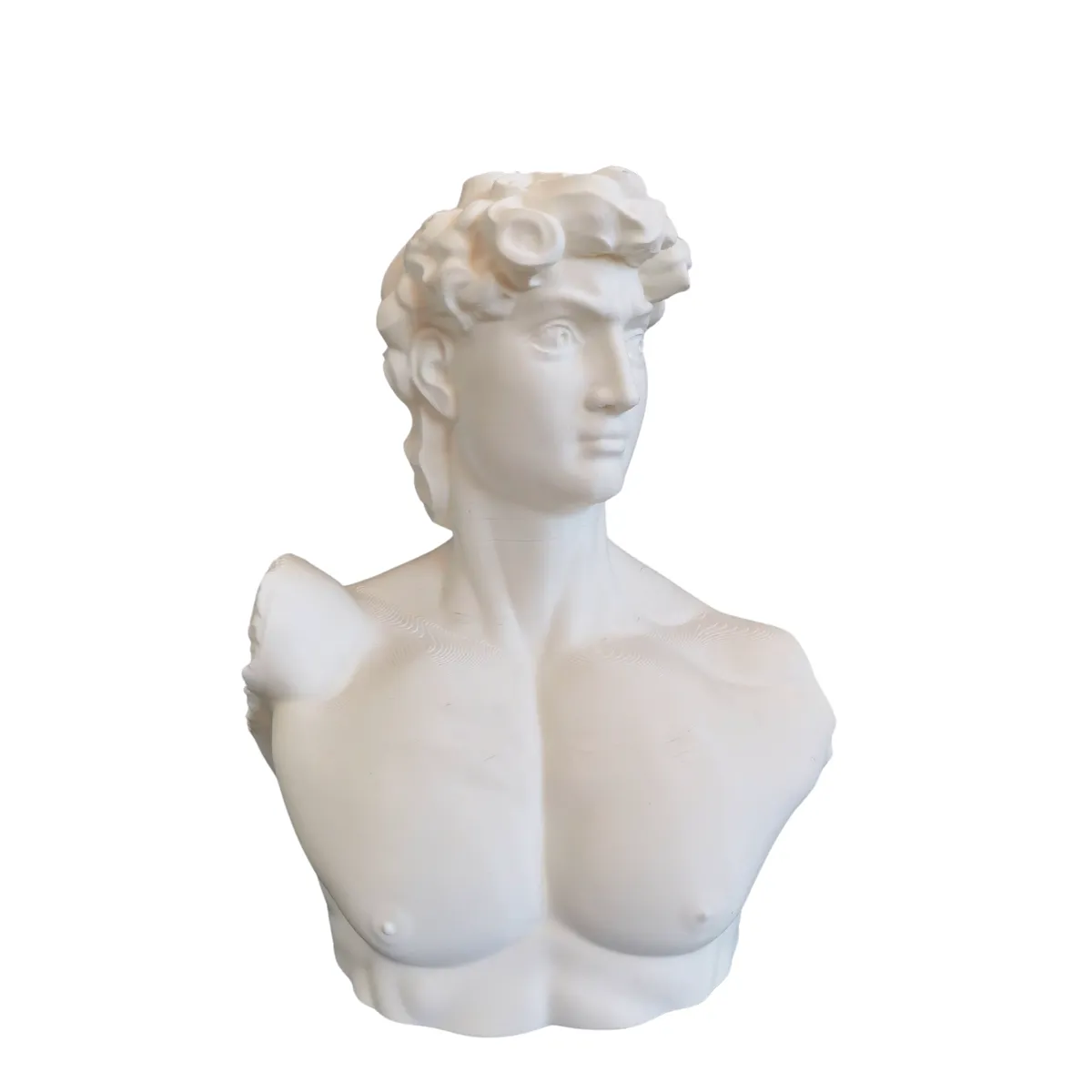 GENERICO - El David de Miguel Ángel Una Obra Maestra en tu Hogar