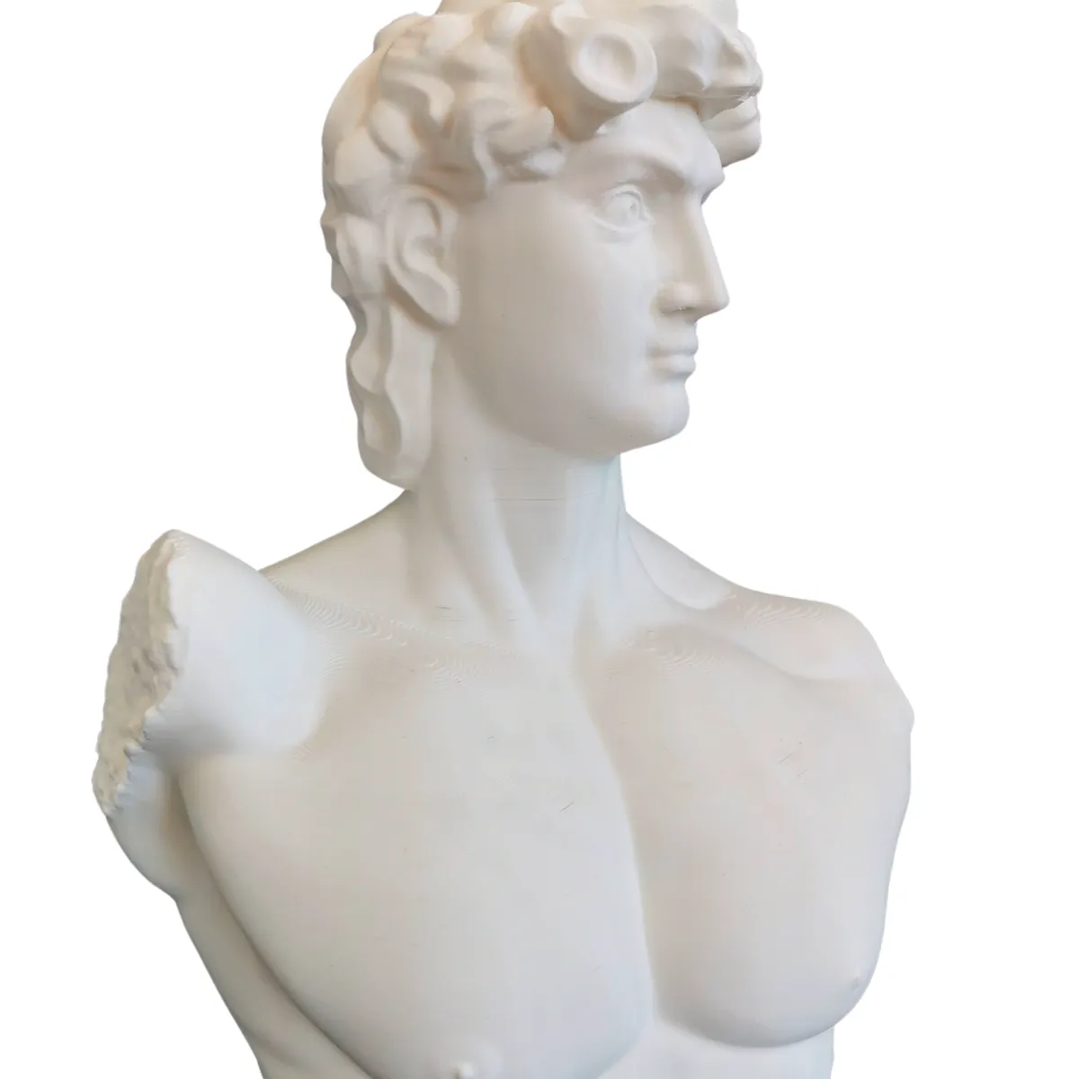 GENERICO - El David de Miguel Ángel Una Obra Maestra en tu Hogar