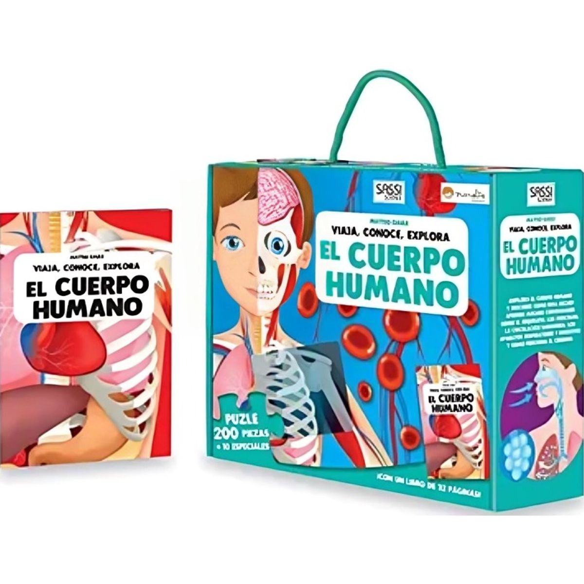 TOP10BOOKS - LIBRO Cuerpo Humano - Cuerpo Humano