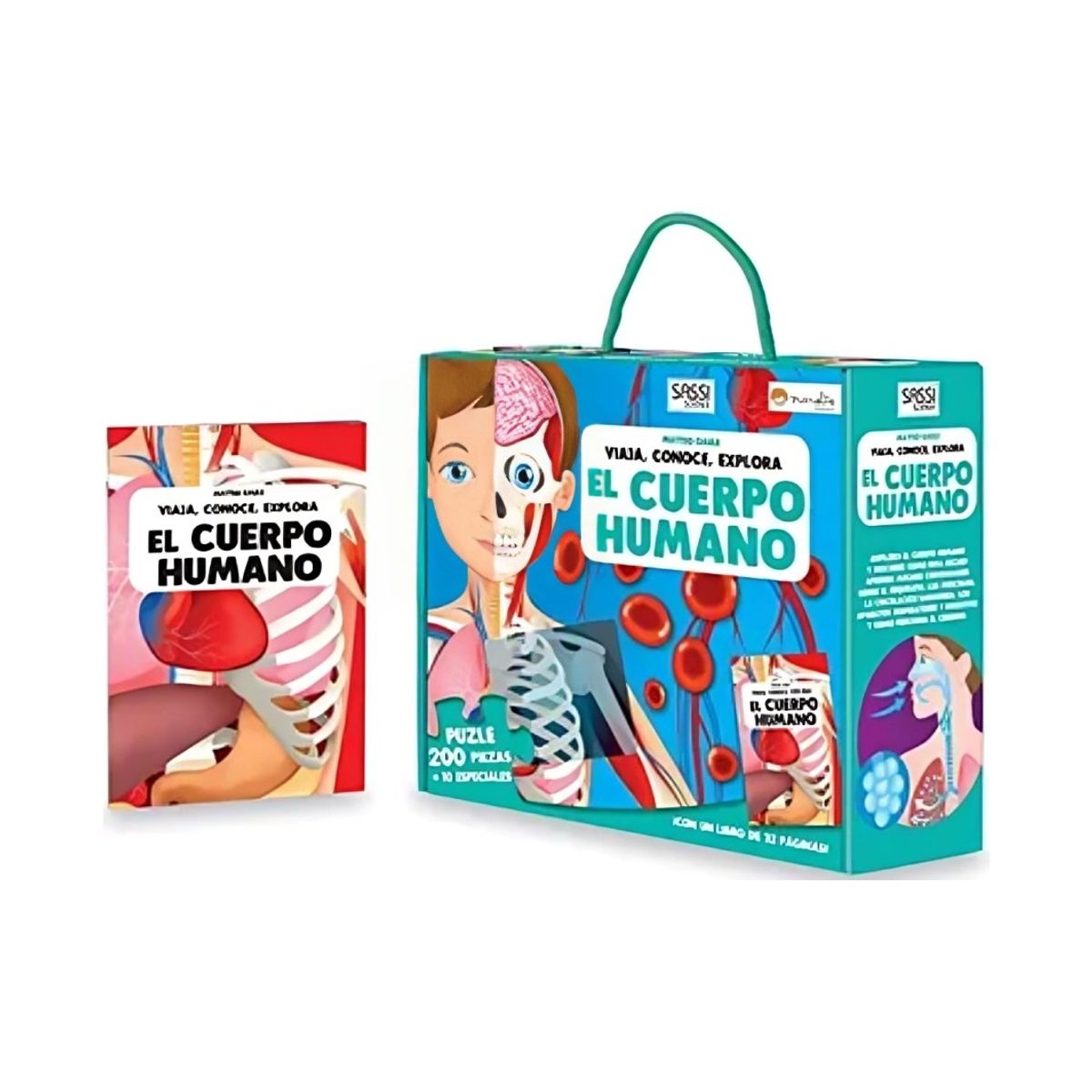 TOP10BOOKS - LIBRO Cuerpo Humano - Cuerpo Humano