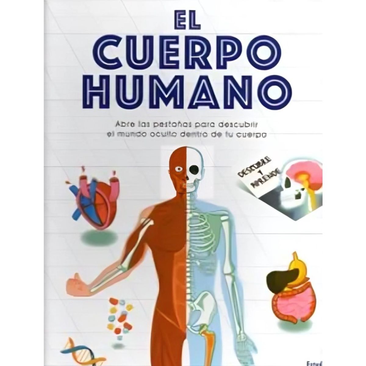 TOP10BOOKS - LIBRO El Cuerpo Humano - Descubre Y Aprende -