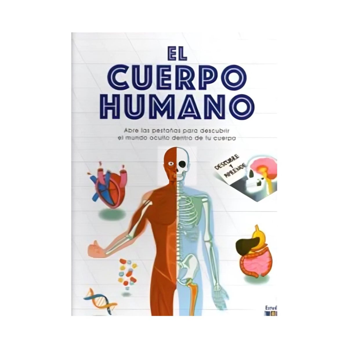 TOP10BOOKS - LIBRO El Cuerpo Humano - Descubre Y Aprende -