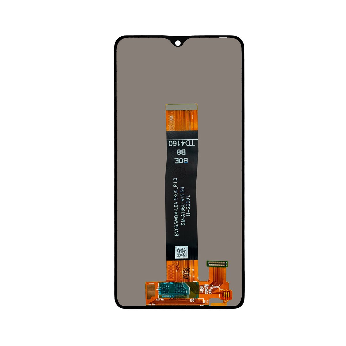 GENERICO - Pantalla Compatible con Samsung Galaxy A13 5G Calidad Oled