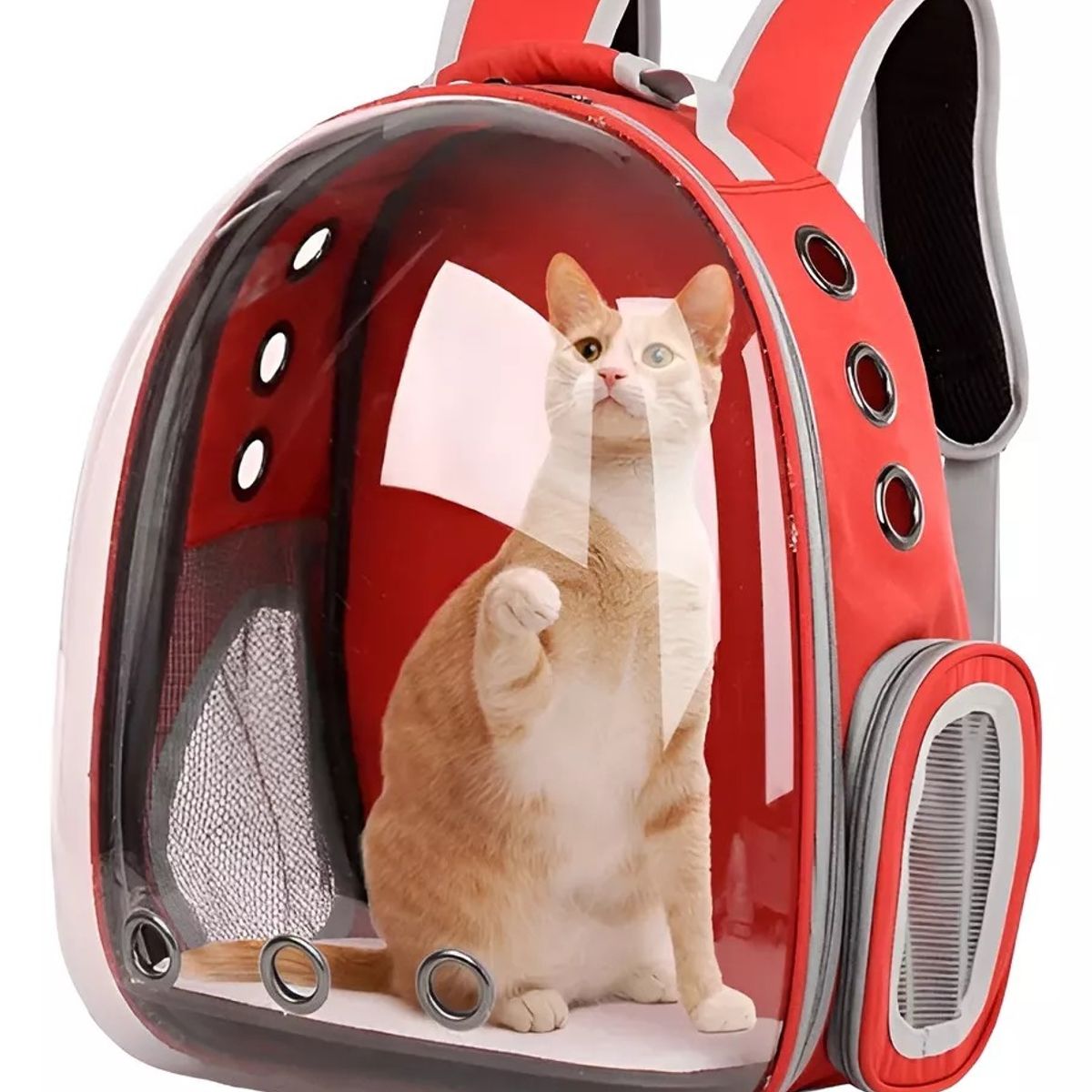 GENERICO - Mochila Gato Transportes Transparente Mascotas Gatos Bolso  Rojo
