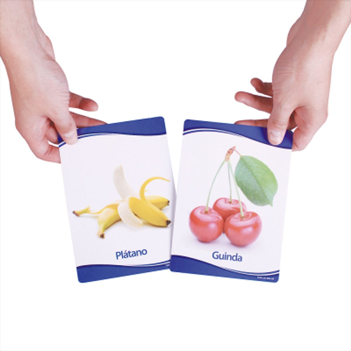 DACTIC - Lamina Alimentacion Saludable