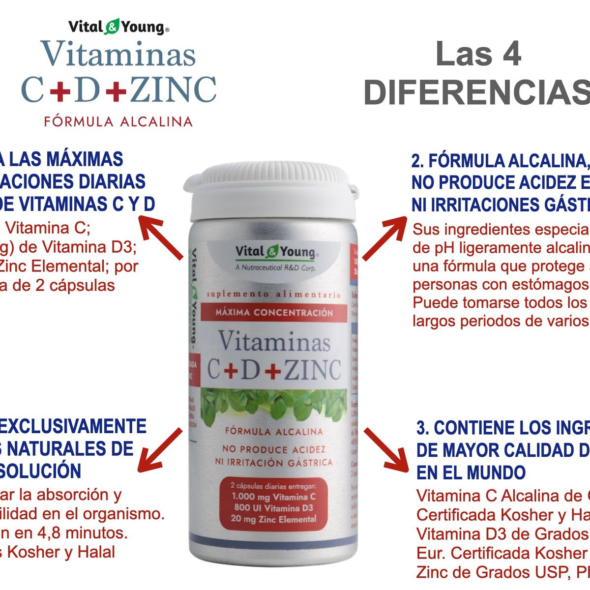 VITAL AND YOUNG - Vitaminas C + D + Zinc Vy 60 Capsulas. Sin Acidez Sin Irritacion.