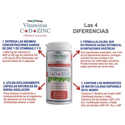 Imagen 2 del producto Vitaminas C + D + Zinc Vy 60 Capsulas. Sin Acidez Sin Irritacion.