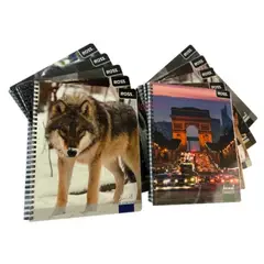 OMAS - Pack 10 Cuadernos Naturaleza Matemática 7MM 100 hojas