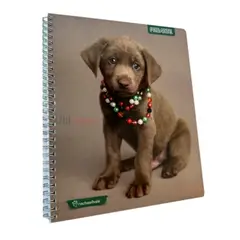 OMAS - Pack 1 Cuaderno Adorable Matemática 7MM 100 hojas