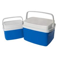 Set De Cooler Azul 12 Litros y 5 Litros