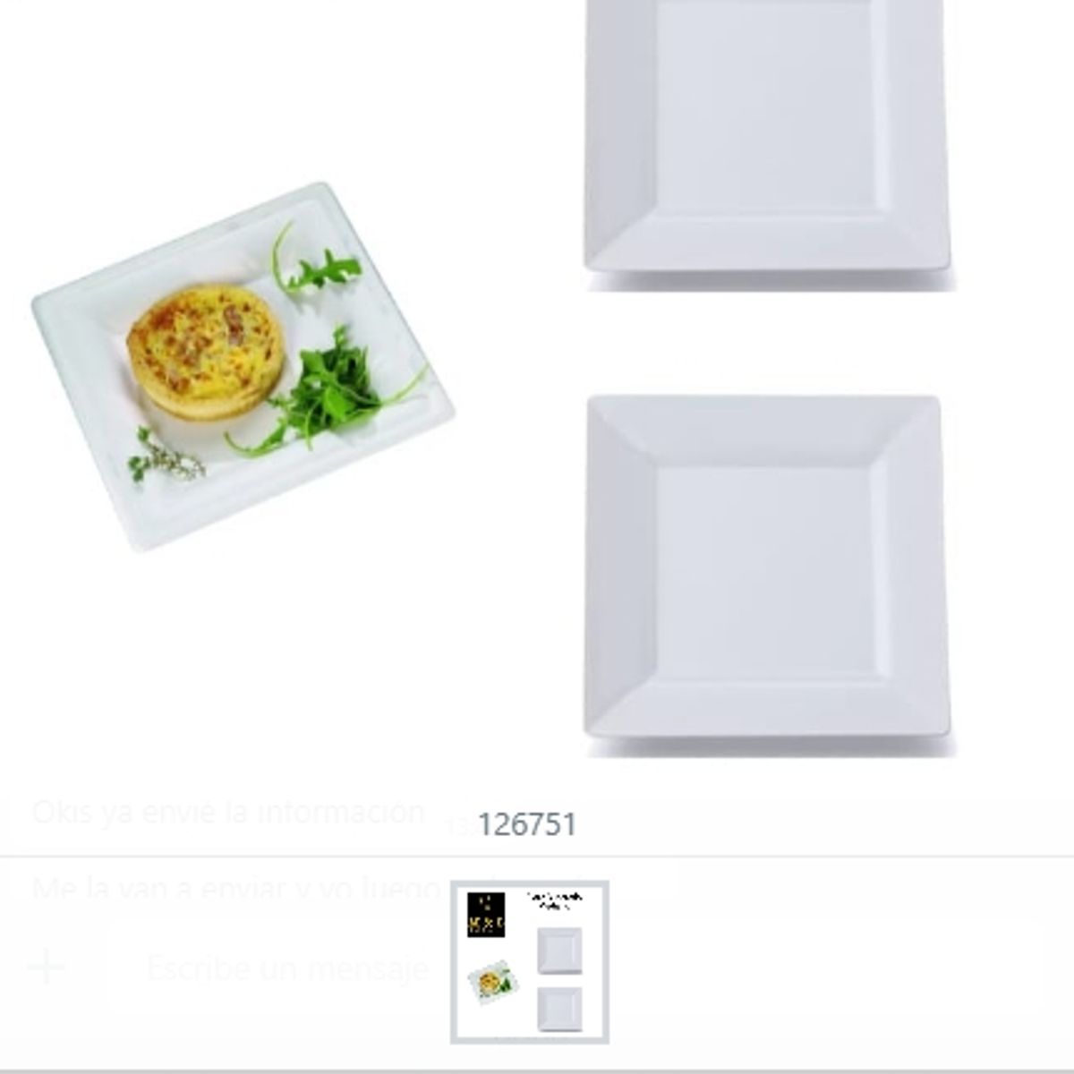 GENERICO - Plato Cuadrado Mediano Ceramica Diseño Atractivo
