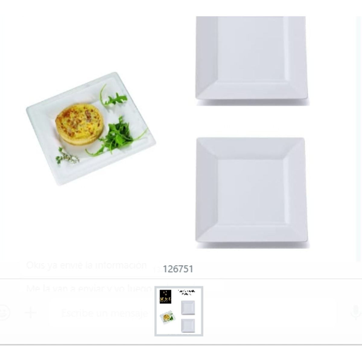 GENERICO - Plato Cuadrado Mediano Ceramica Diseño Atractivo