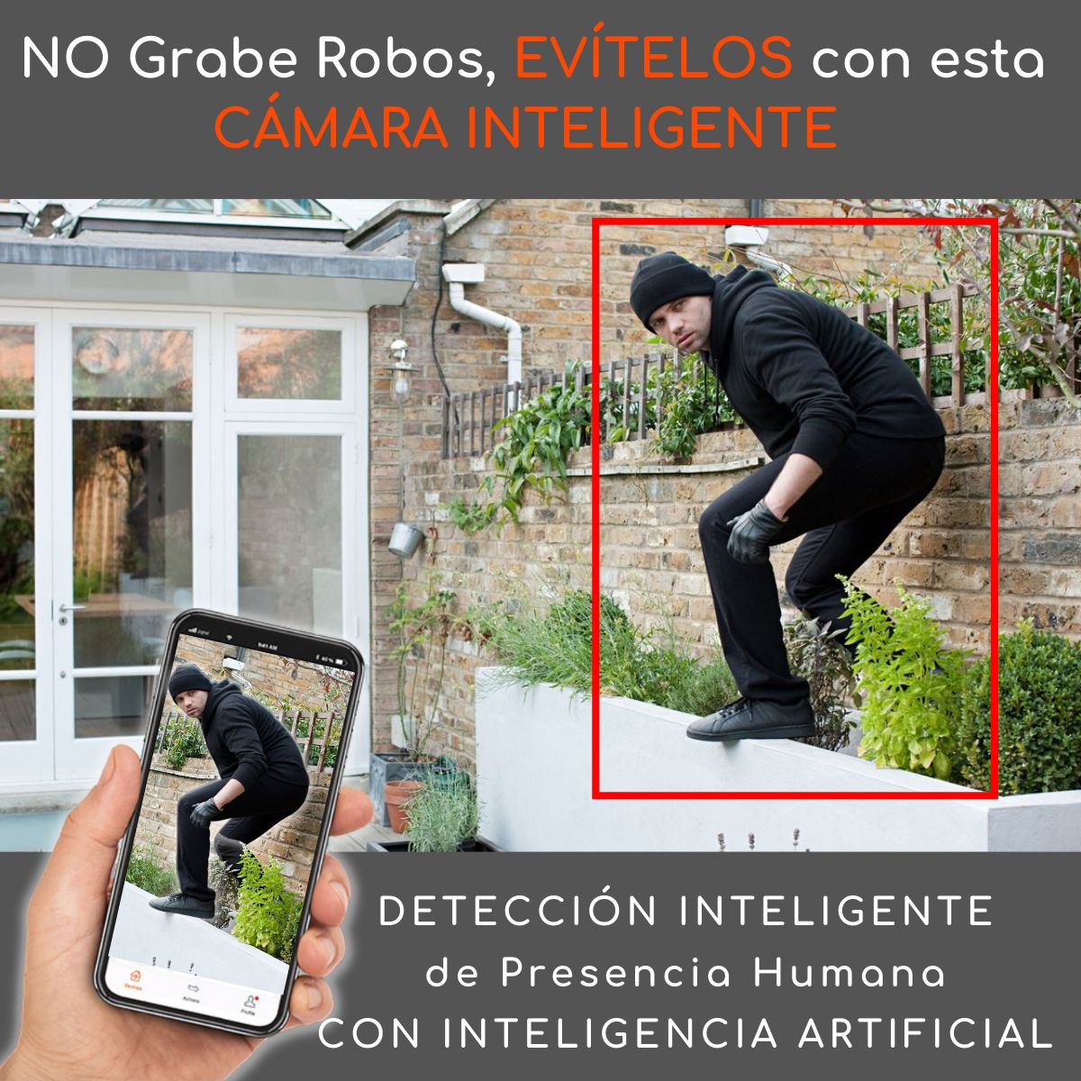 D MOTICA - Cámara Mini Domo PTZ Wifi Inteligente 2MP Full HD Móvil Para Exterior