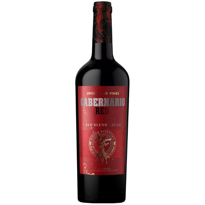 SANTA RITA - Vino Santa Rita Cabernario Red Blend 13,5° 750cc