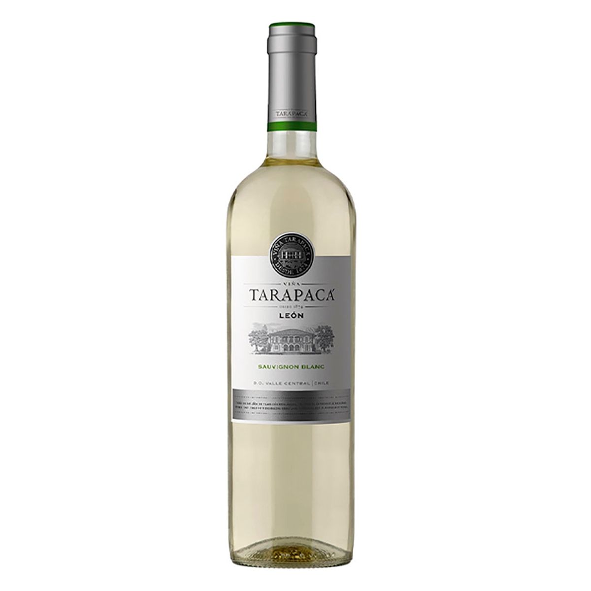 TARAPACA - Vino Tarapacá León Sauvignon Blanc 13° 750cc