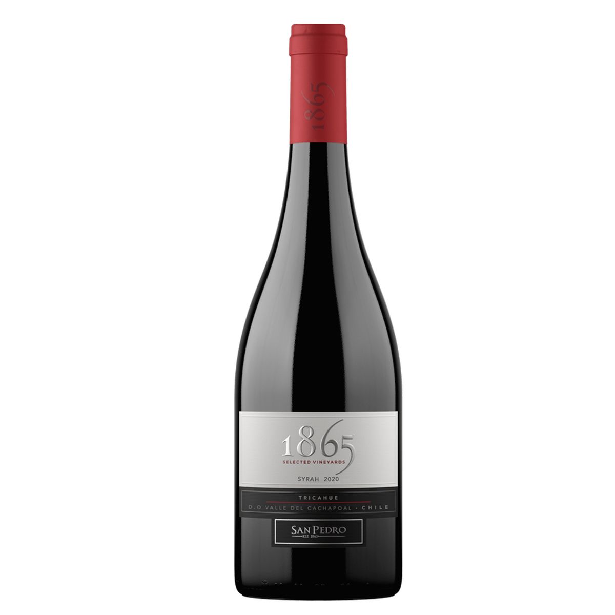 SAN PEDRO - Vino San Pedro 1865 Selected Syrah 14° 750cc