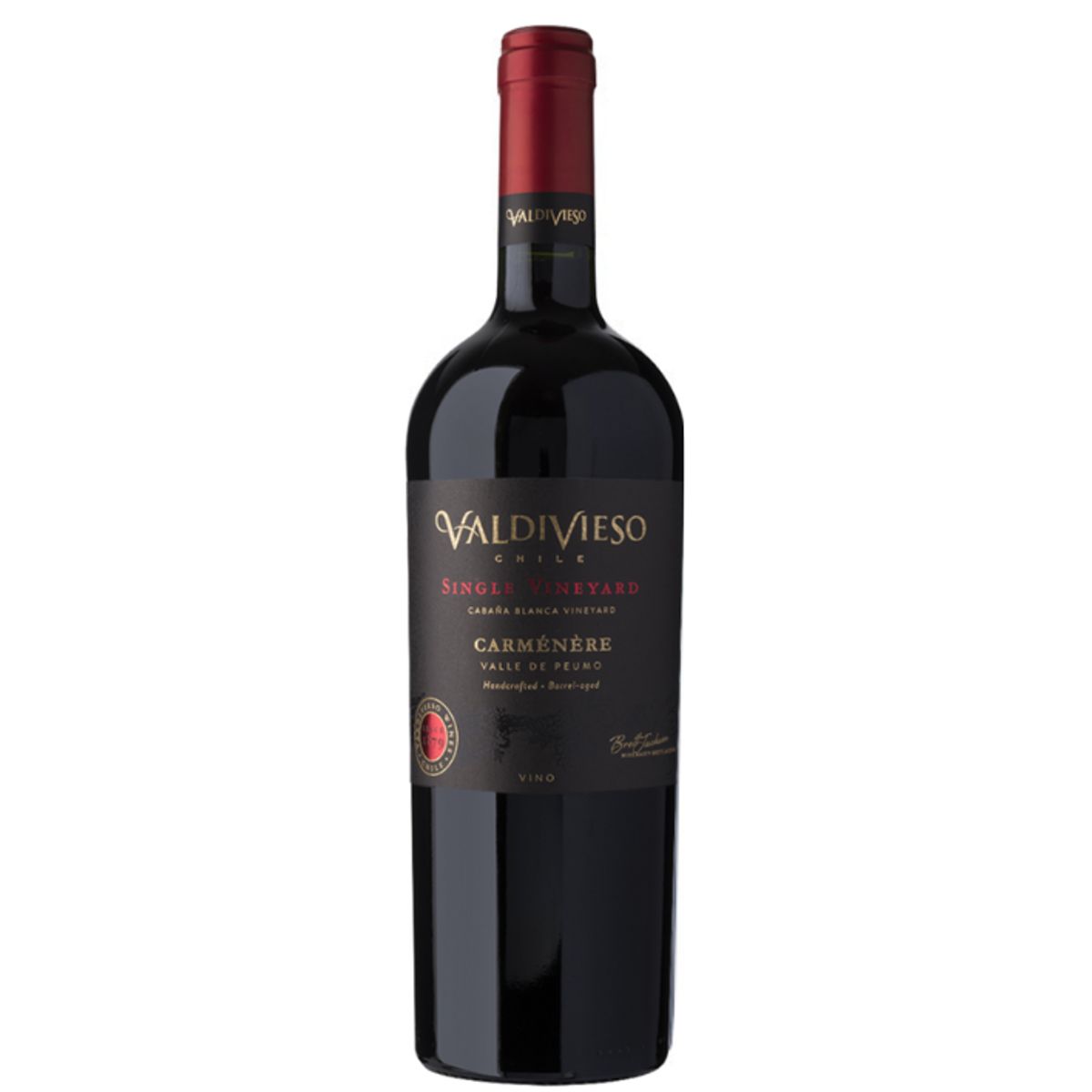 VALDIVIESO - Vino Valdivieso Single Vineyard Malbec 13° 750cc
