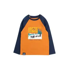 FICCUS - Polera Kids Niño Arctic Café