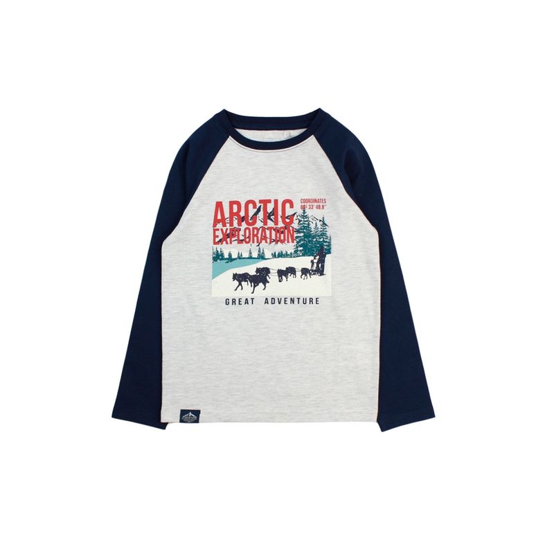 FICCUS - Polera Kids Niño Arctic Gris