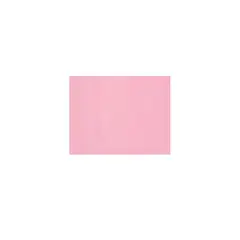 GENERICO - Papel De Seda Color Rosa Claro 10pcs 50x66cm