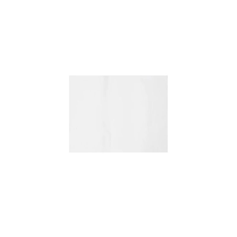 GENERICO - Papel De Seda Color Blanco 10pcs 50x66cm
