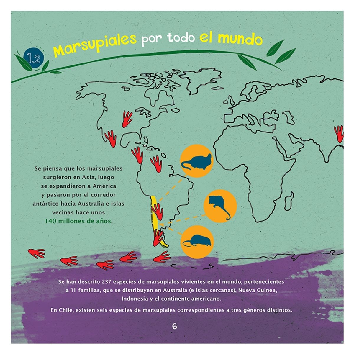 RECREA - Libro infantil Recrea Libros Marsupiales de Chile
