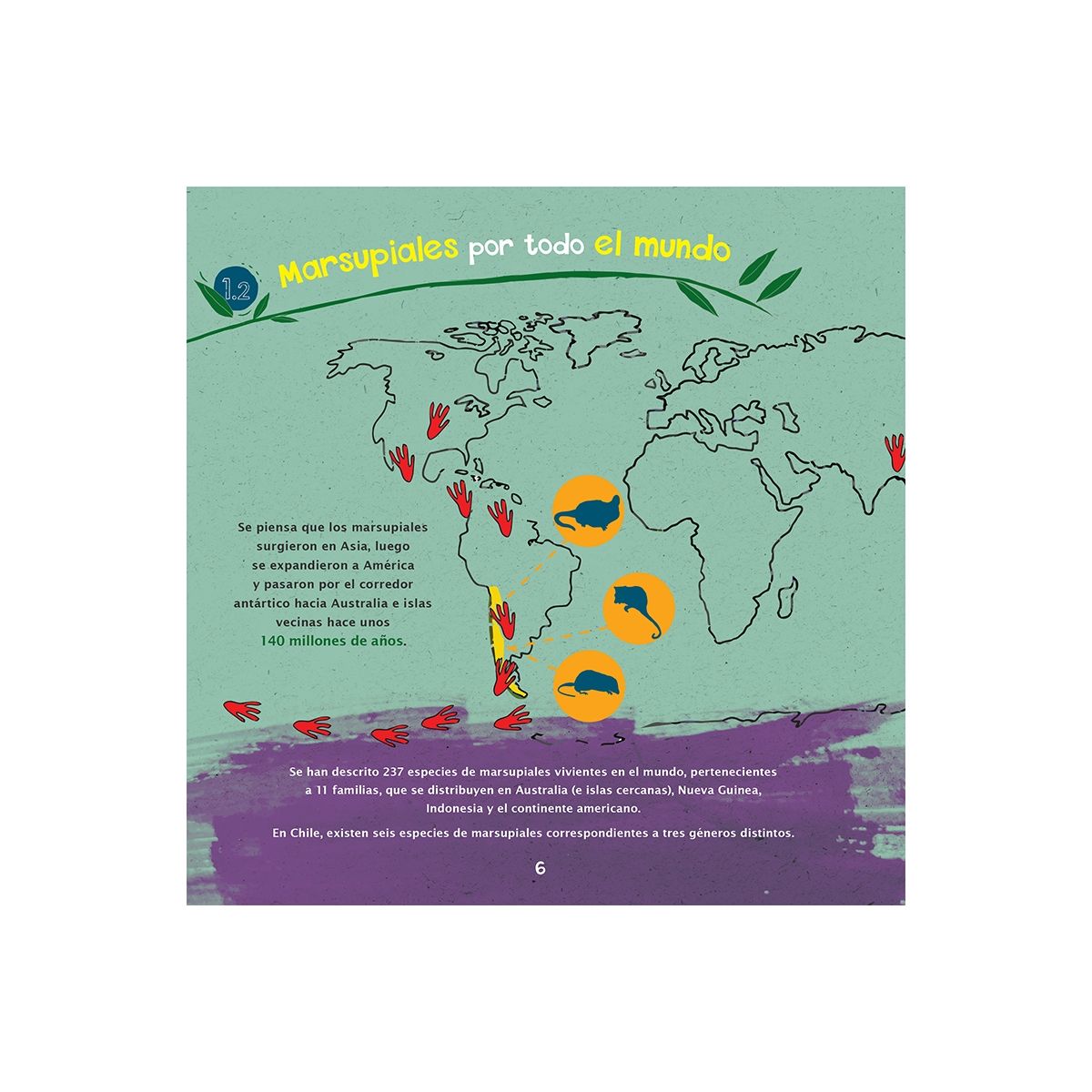 RECREA - Libro infantil Recrea Libros Marsupiales de Chile