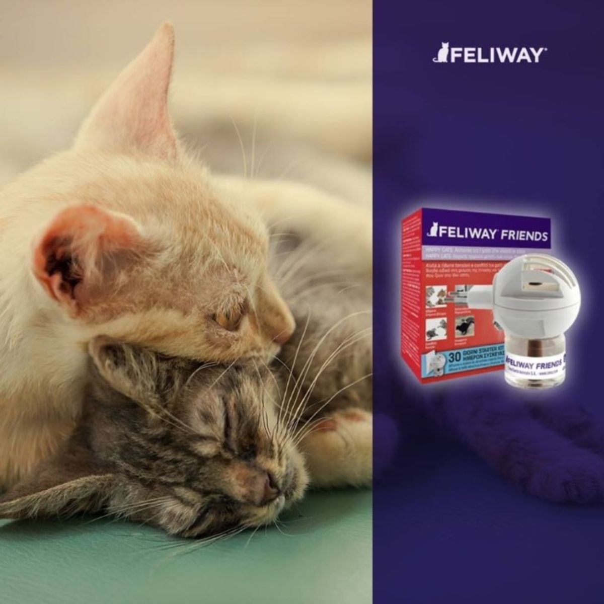 FELIWAY - Feliway Friends Recarga 48 ml