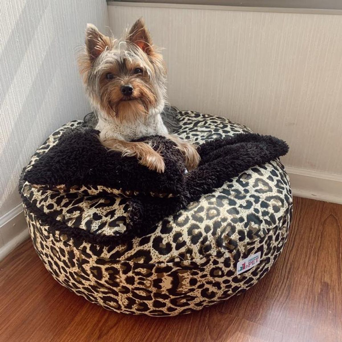 GENERICO - Cama Atenas Mediana 65cm de diámetro