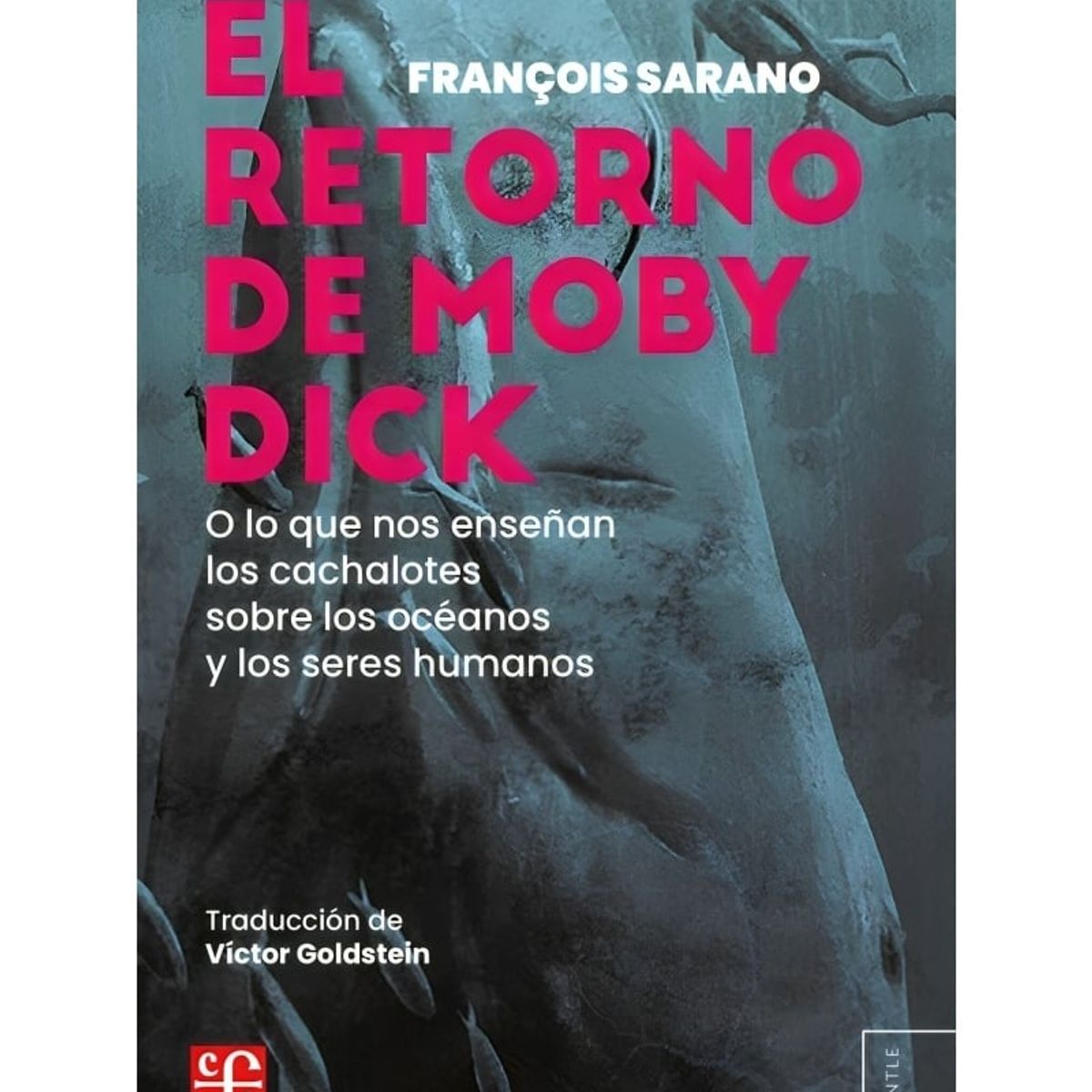 TOP10BOOKS - LIBRO El Regreso De Moby Dick, O Lo Que Nos Enseñan Los Cachalotes Sobre Los