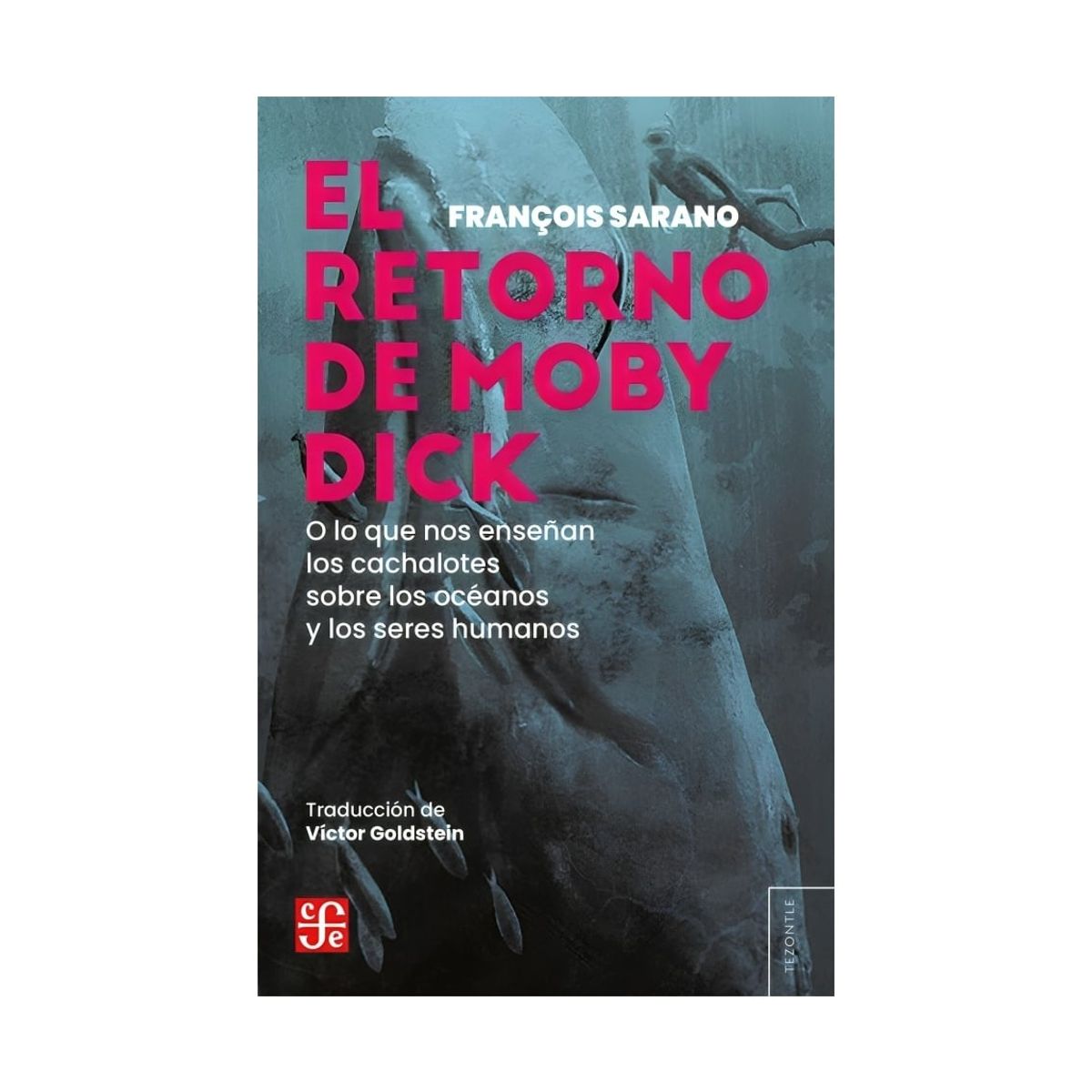 TOP10BOOKS - LIBRO El Regreso De Moby Dick, O Lo Que Nos Enseñan Los Cachalotes Sobre Los