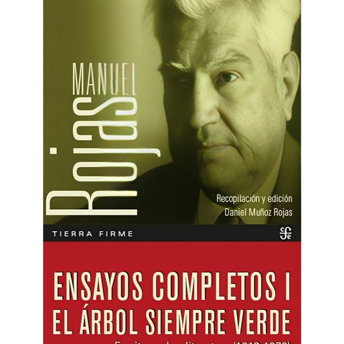 TOP10BOOKS - LIBRO Ensayos Completos I, El Árbol Siempre Verde, Escritos Sobre Literatura