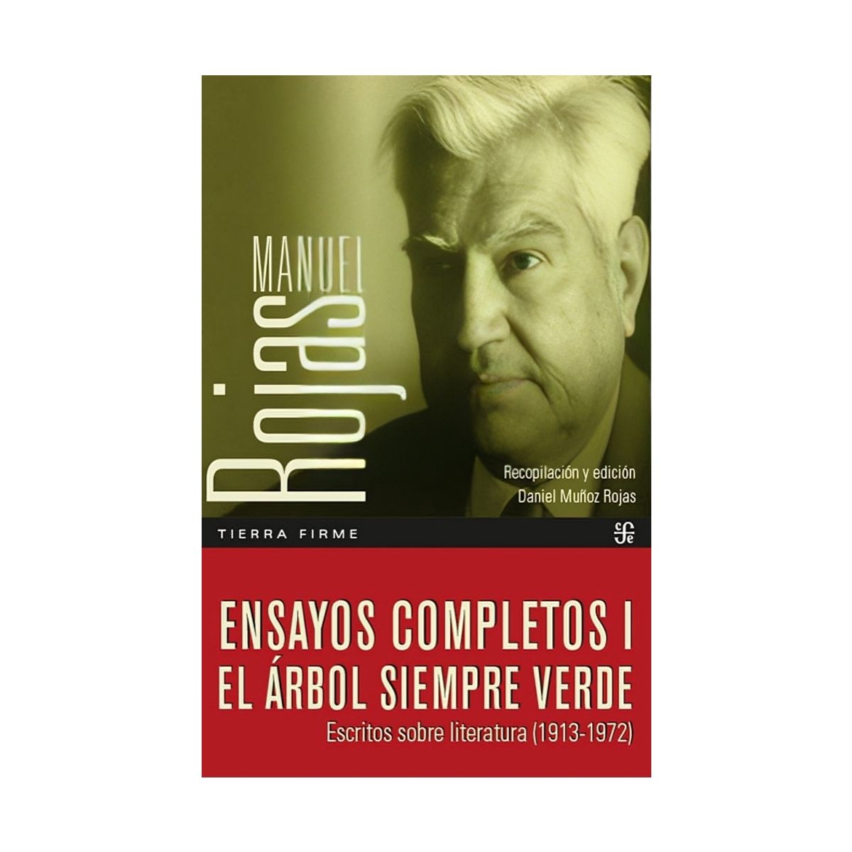 TOP10BOOKS - LIBRO Ensayos Completos I, El Árbol Siempre Verde, Escritos Sobre Literatura