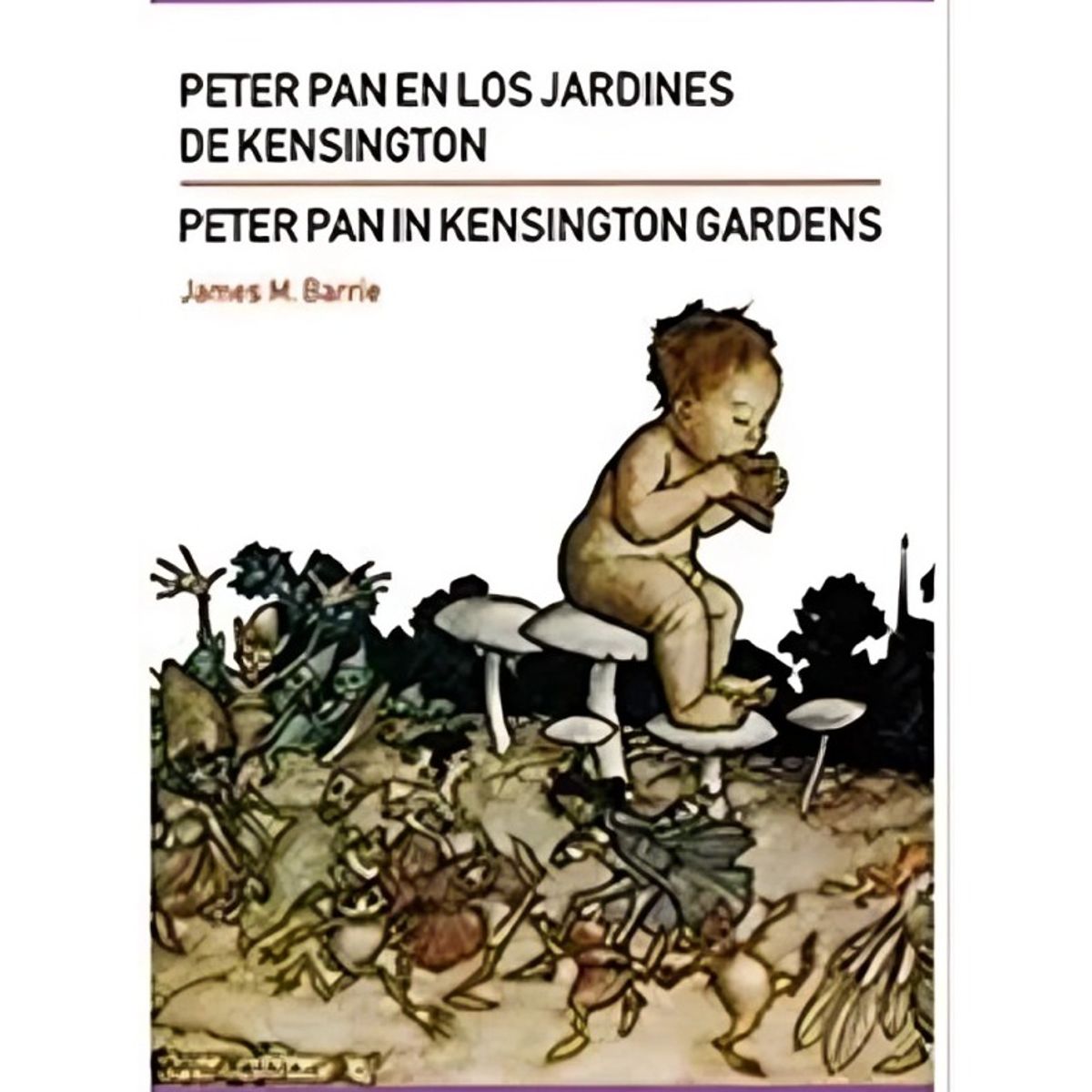 TOP10BOOKS - LIBRO Peter Pan In Kensington Garden / Peter Pan En Los Jardines