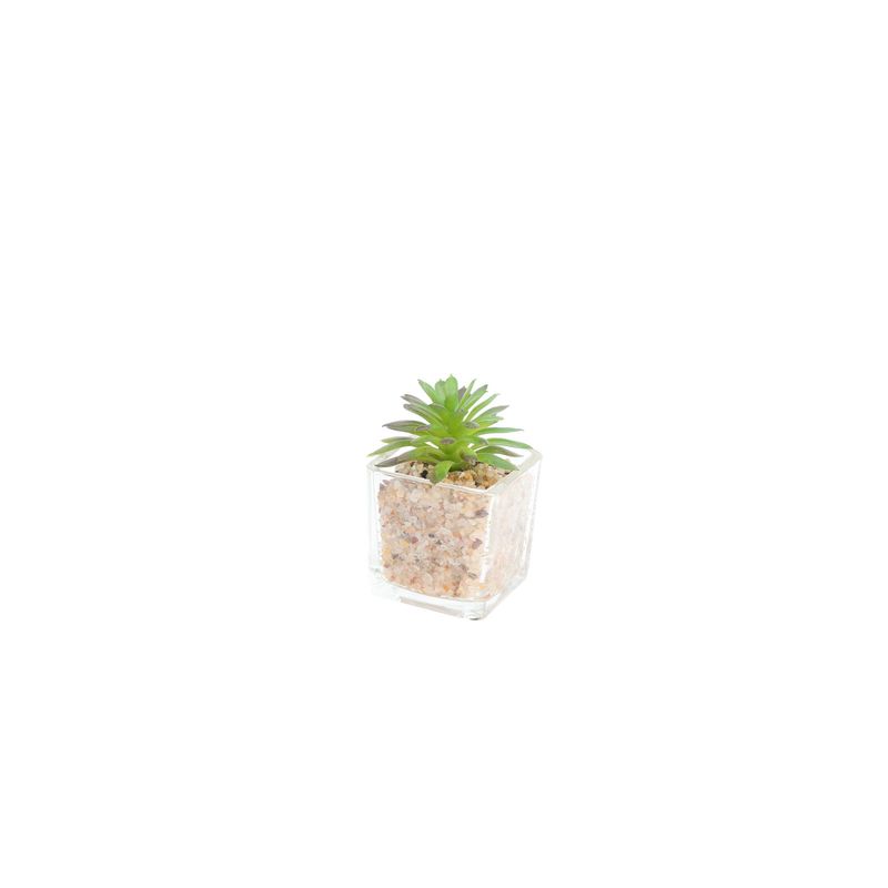 HOMEWELL - Suculenta artificial 5x8cm HOMEWELL