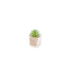 HOMEWELL - Suculenta artificial 5x8cm